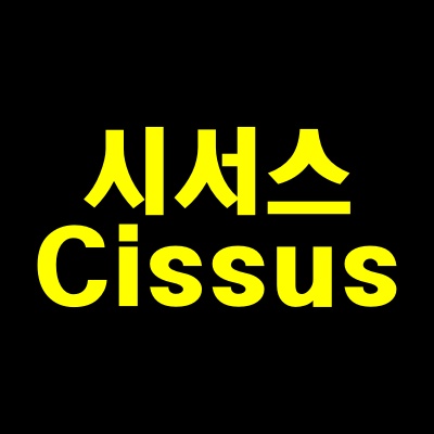  시서스 효능과 부작용 그리고 시서스 먹는법과 섭취시 주의사항