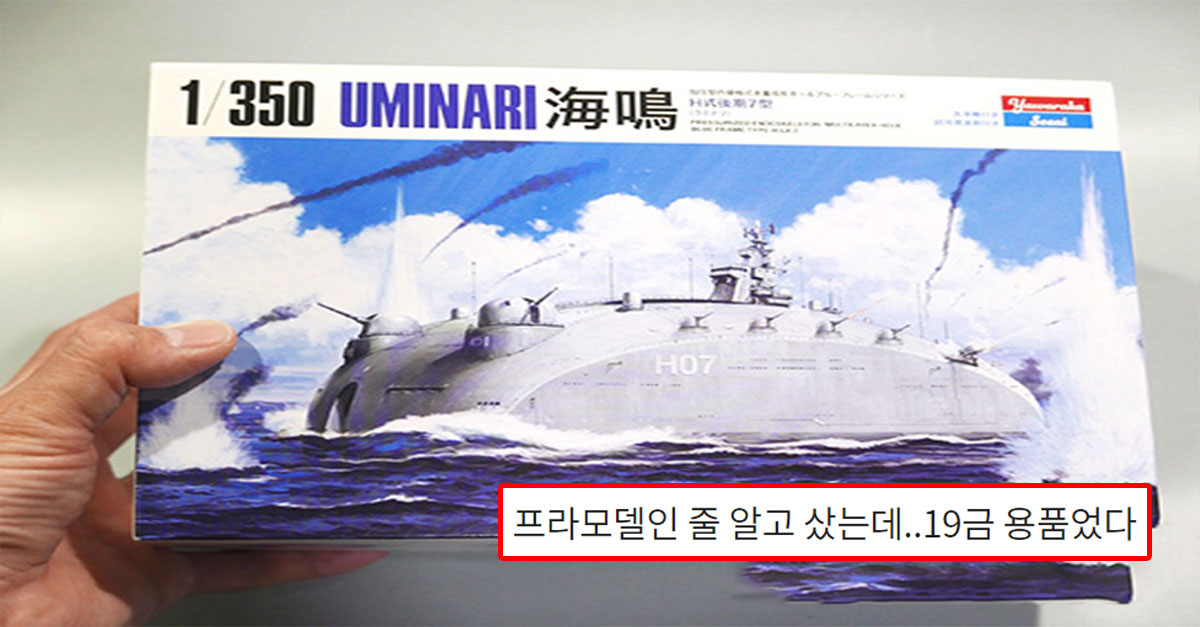  프라모델인 줄 알고 샀는데..19금 용품었다
