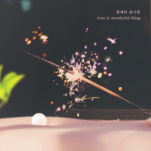  참솜 (Chamsom) love is wonderful thing 듣기/가사/앨범/유튜브/뮤비/반복재생/작곡작사
