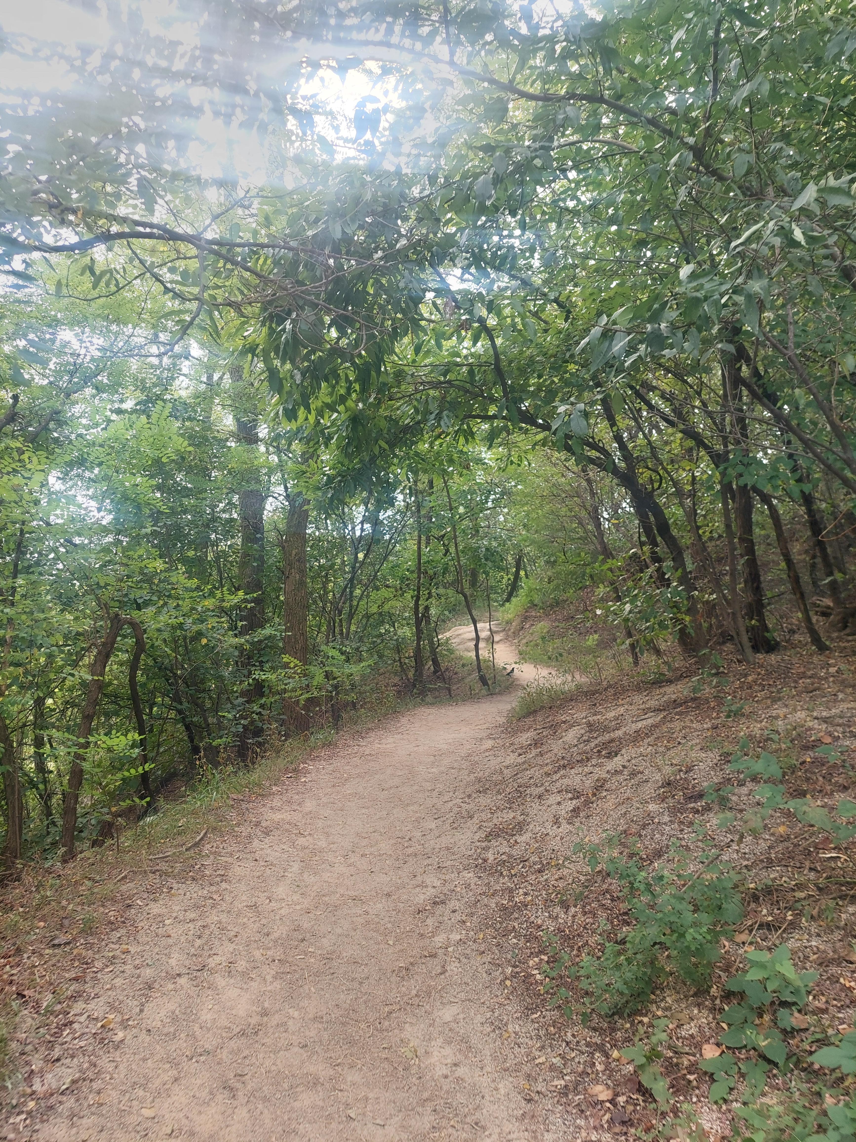 안산