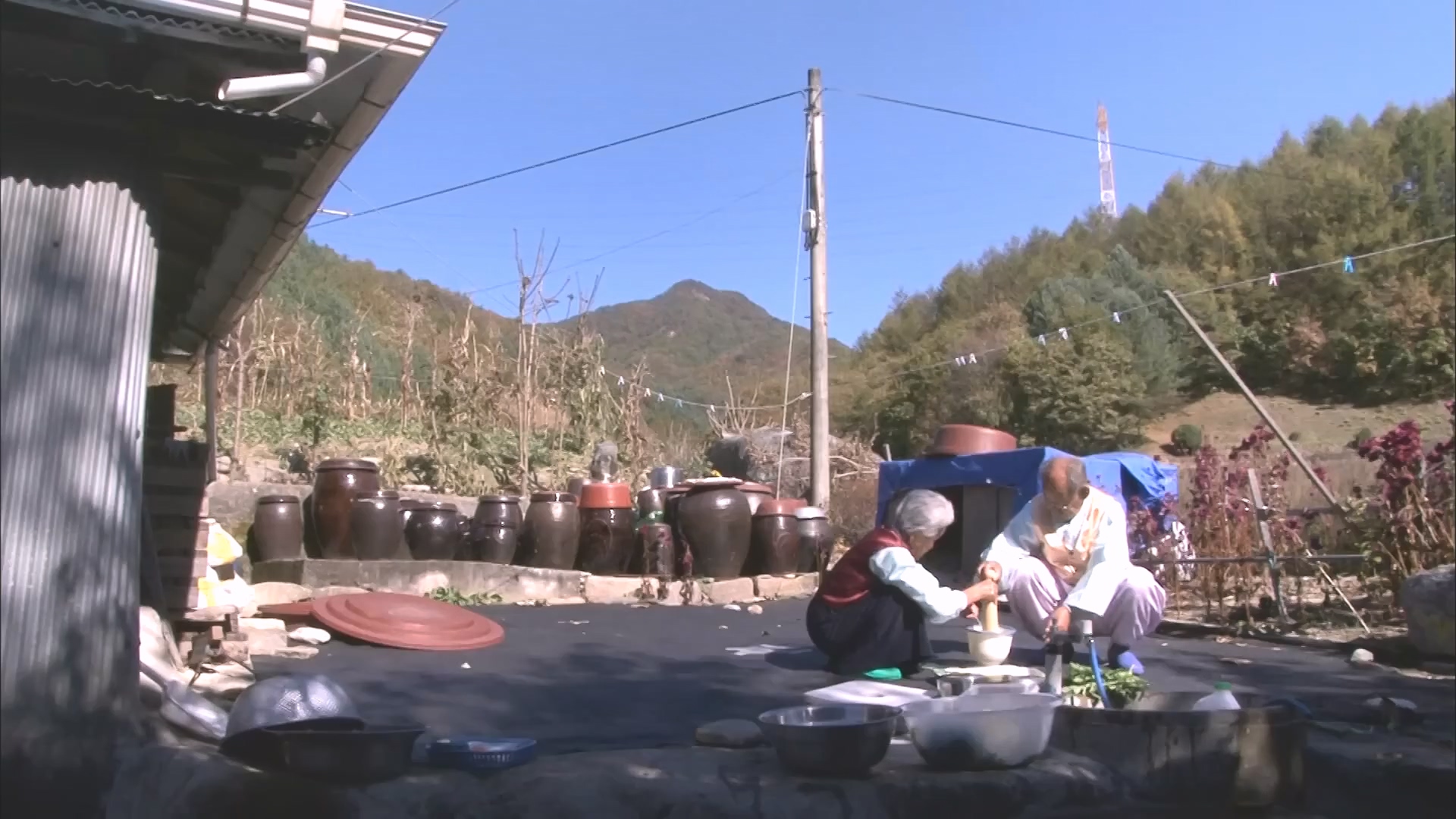 [인간극장 다시보기] 다시 태어나도 서로밖에 없다 하시는 백발의 황혼 부부, 따뜻하고 싱그러운 신혼일기 제2막이 시작된다 KBS 방송.mp4_20240415_133449.857.jpg