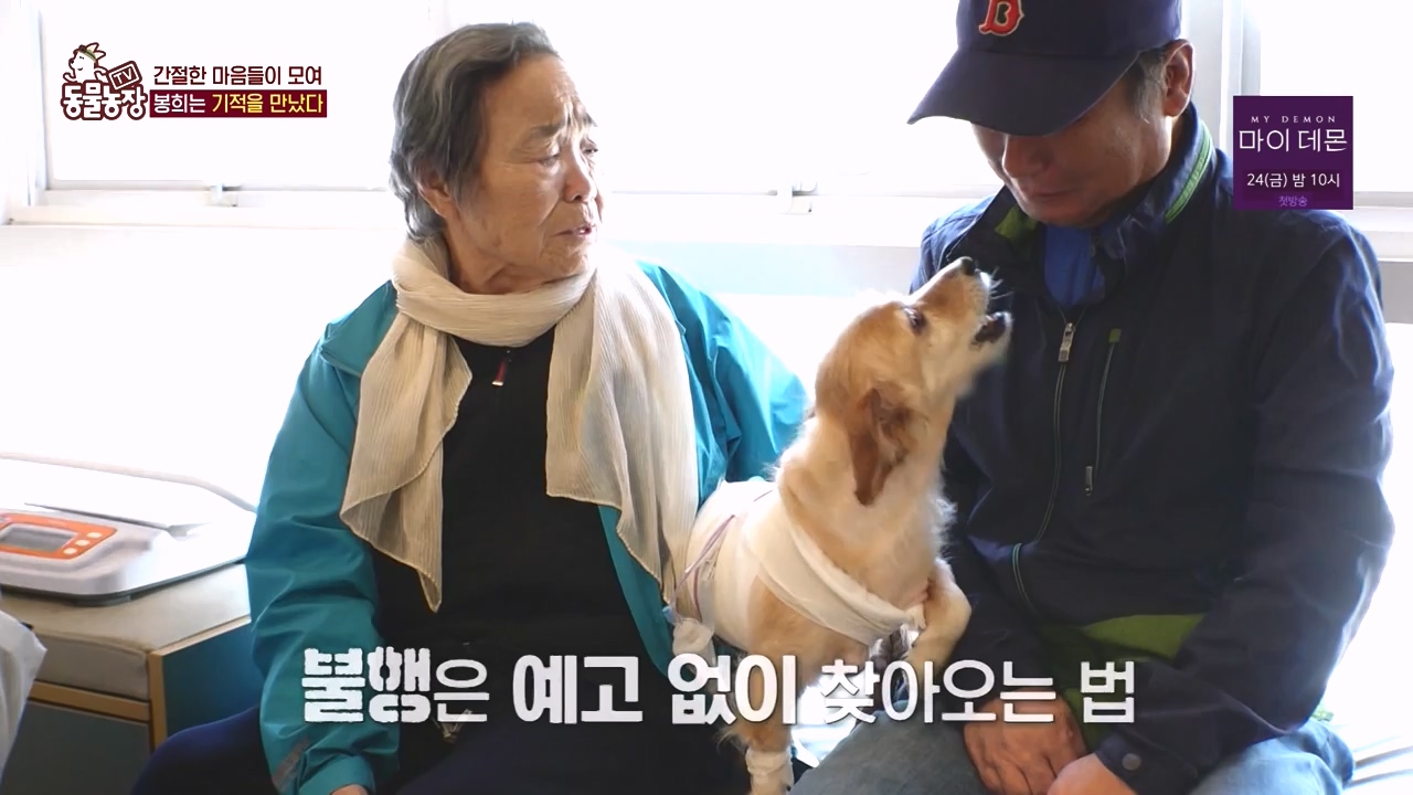 TV 동물농장.E1145.231113p-NEXT.mp4_20231112_173448.814.jpg