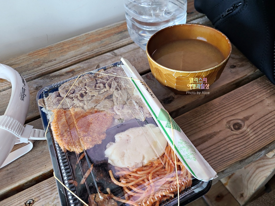 오키나와 자유여행 케라마 제도 초보자 스노클링 체험 바다거북 만나기