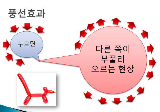 풍선효과