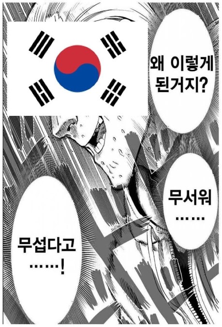 월드컵 한국 상황2