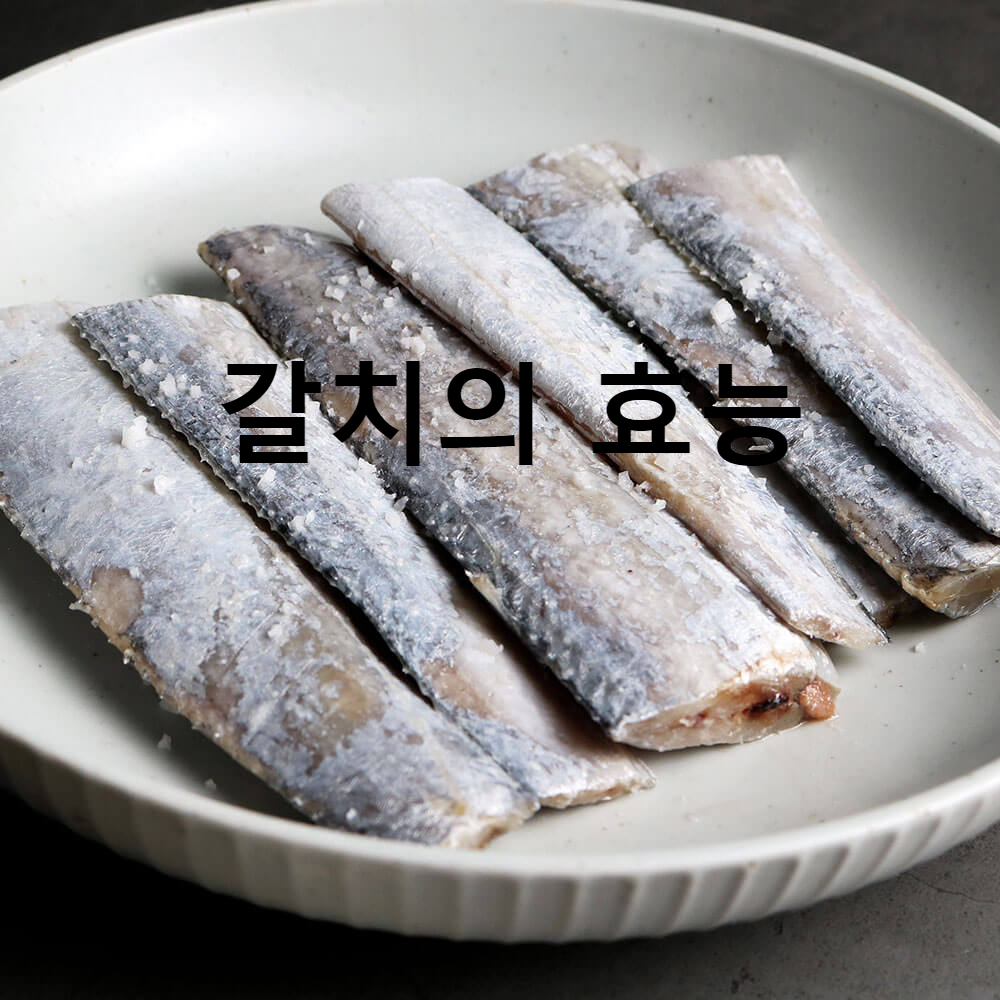 갈치