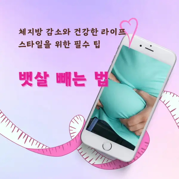 뱃살 빼는 법 완벽 가이드