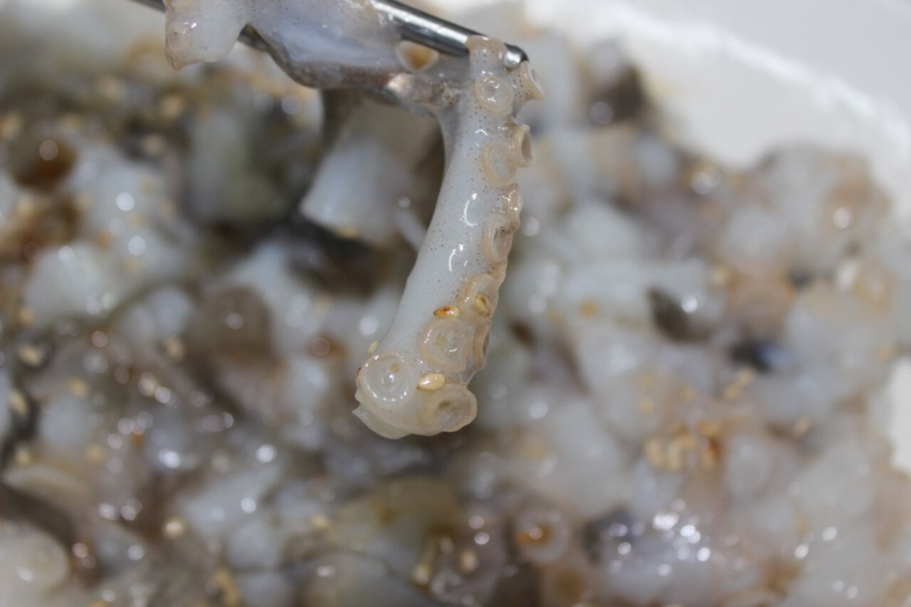 6시내고향 충남 서천 광어요리 맛집 원양호 수산물 온라인 주문