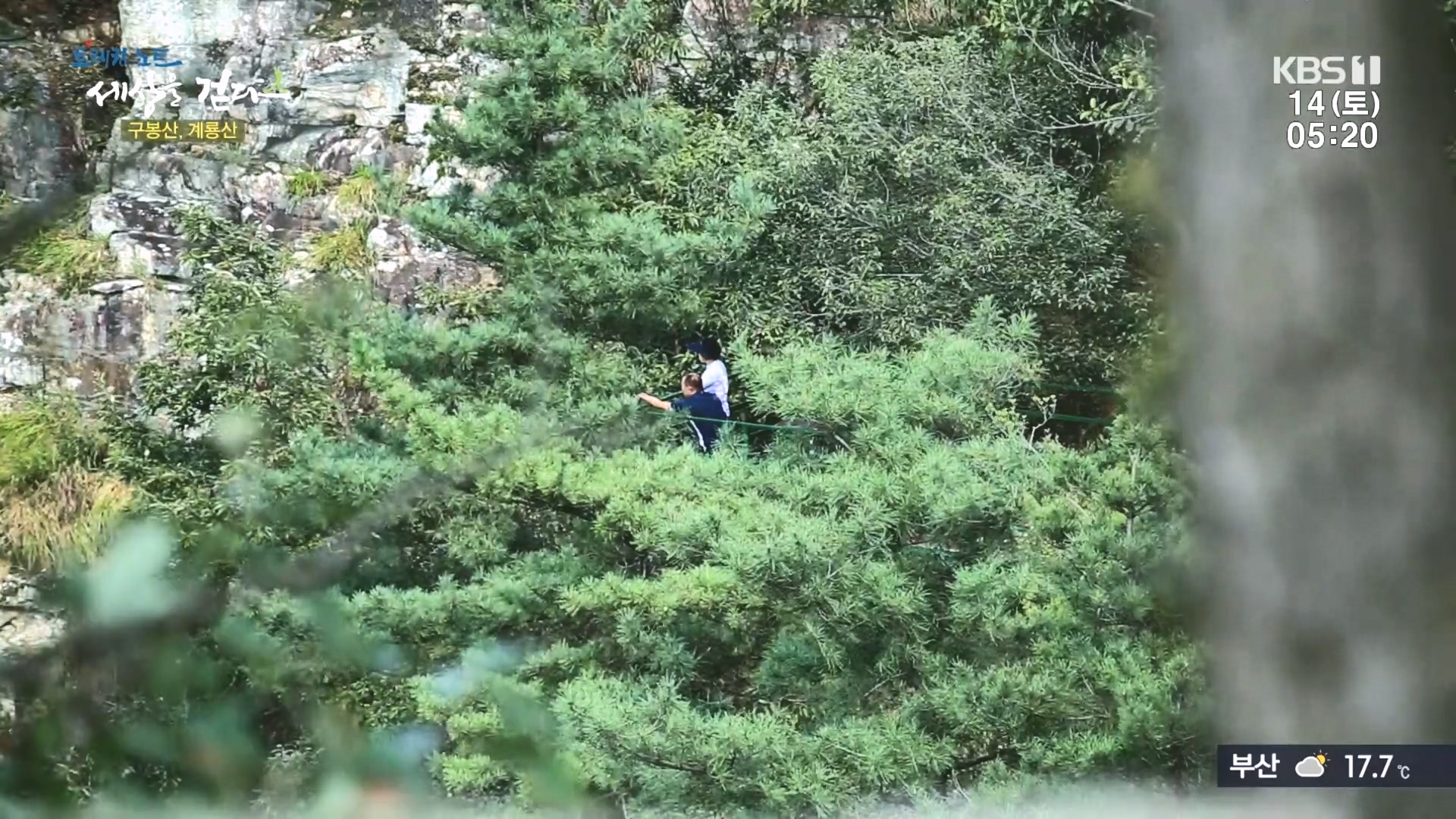 트레킹노트 세상을 걷다.E290.231014p.H264-F1RST.mp4_20231014_175623.893.jpg