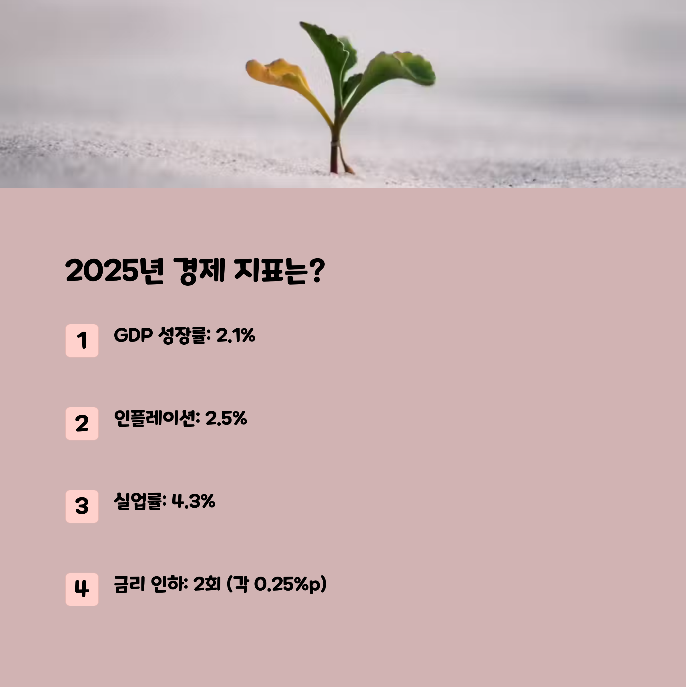 금리 인하 신중 기조, 트럼프 정책 변수… 2025년 미국 경제 흐름은?