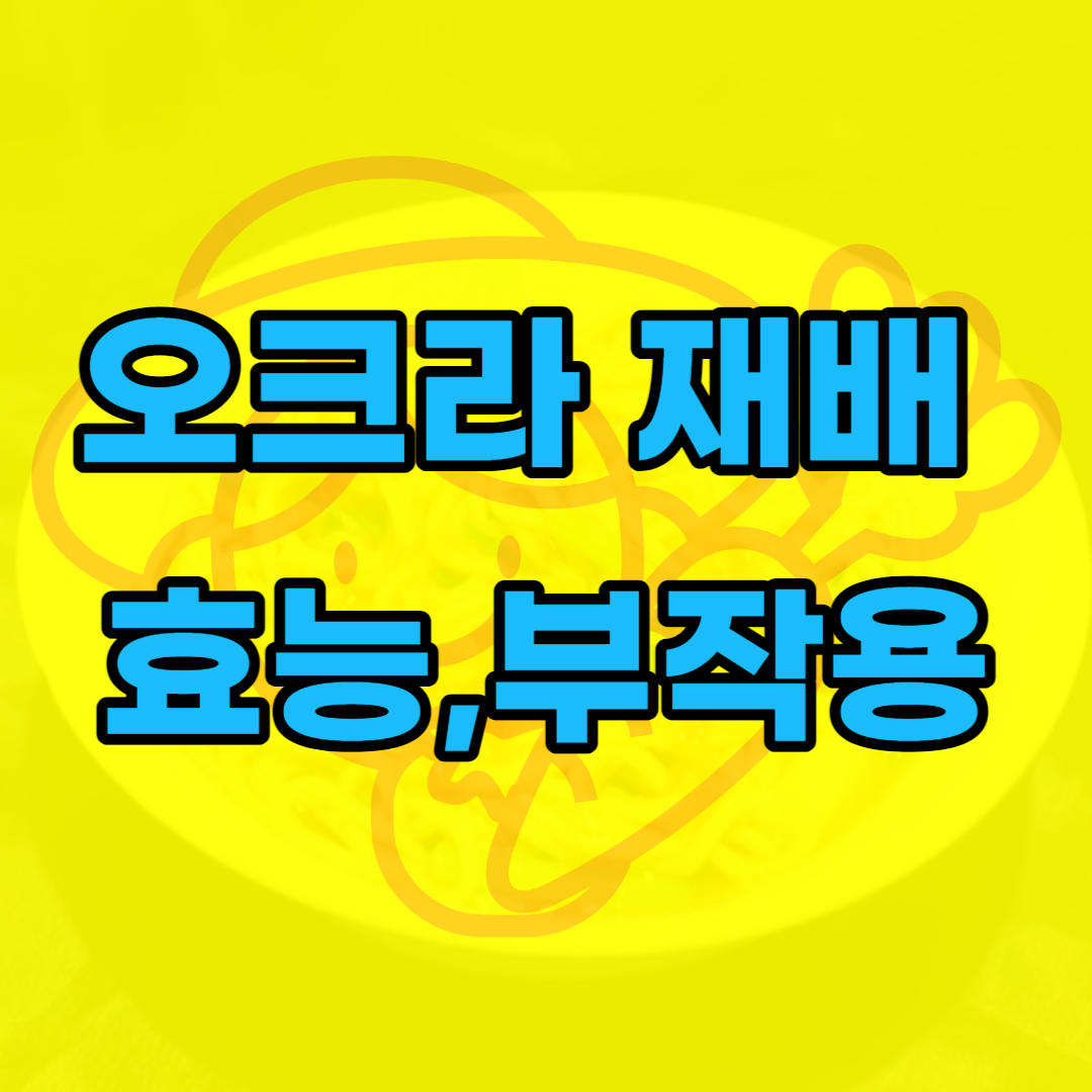 오크라-재배-효능-키우기-요리-맛-부작용