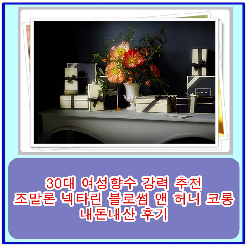  30대 여성향수 강력 추천 조말론 넥타린 블로썸 앤 허니 코롱 내돈내산 후기