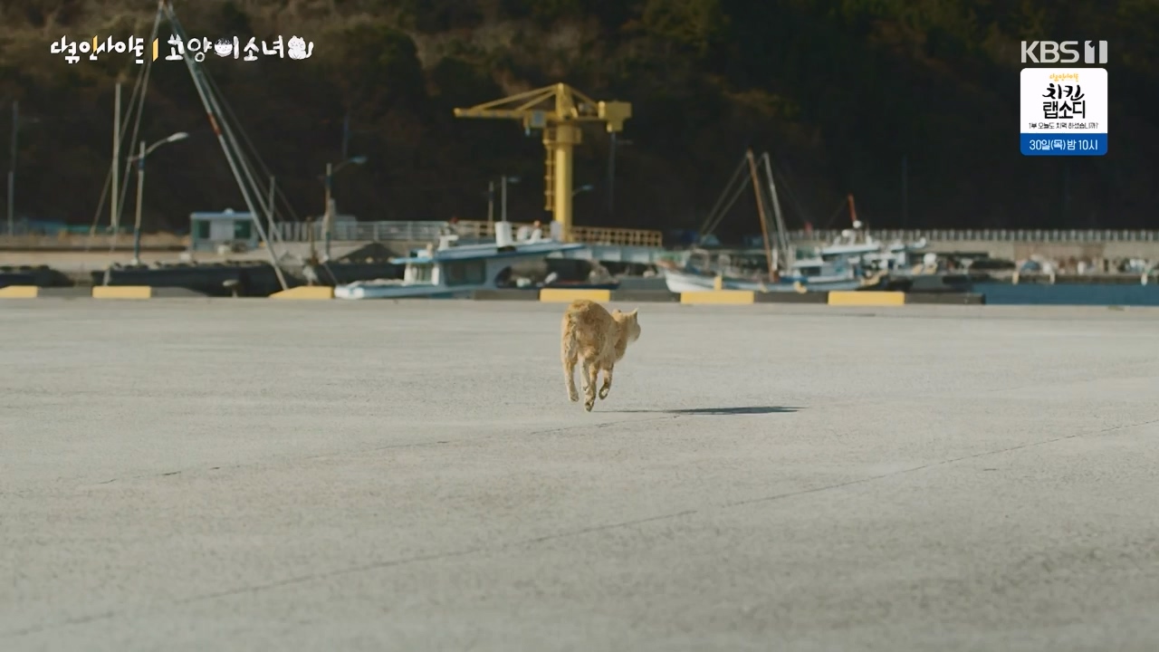 다큐 인사이트.E189.240524p-NEXT.mp4_20240524_205101.110.jpg