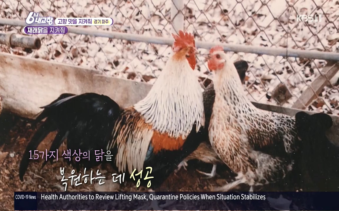 6시 내고향.E7618.220916p.H264-F1RST.mp4_20220920_202556.874.jpg
