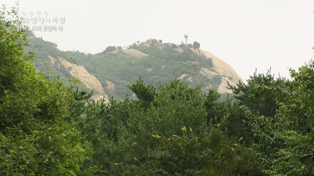 생로병사의 비밀.E883.230914p-NEXT.mp4_20230914_204622.818.jpg