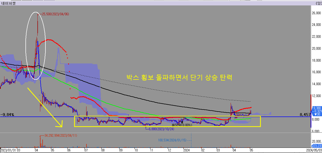 박스-횡보를-돌파한-네이처셀-주가