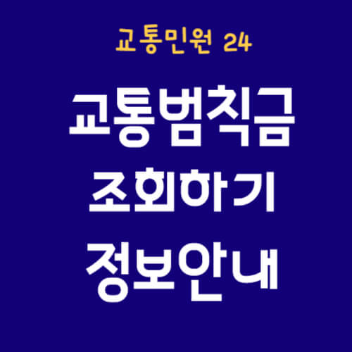 교통범칙금조회