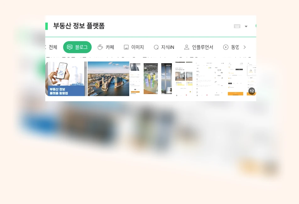 부동산 정보 플랫폼_1_subsection