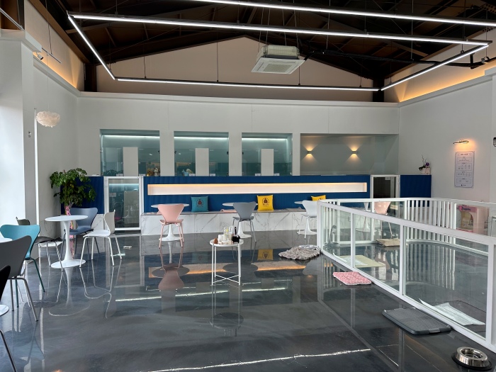 이천 애견카페 리츠펫 선물방문 후기