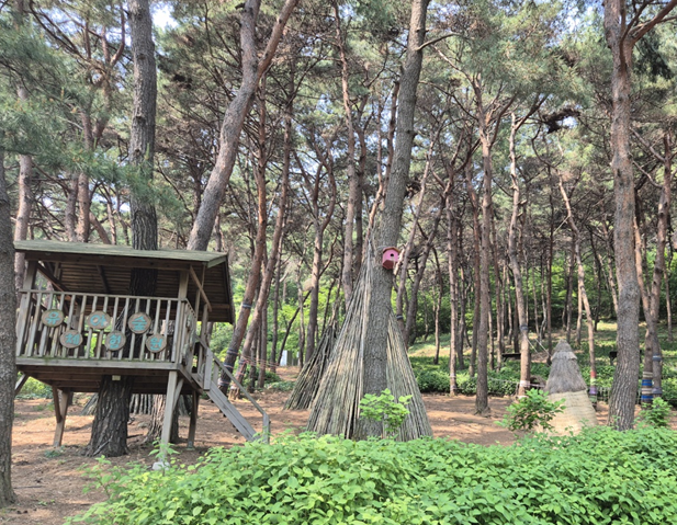 삼선산수목원 어린이숲체험