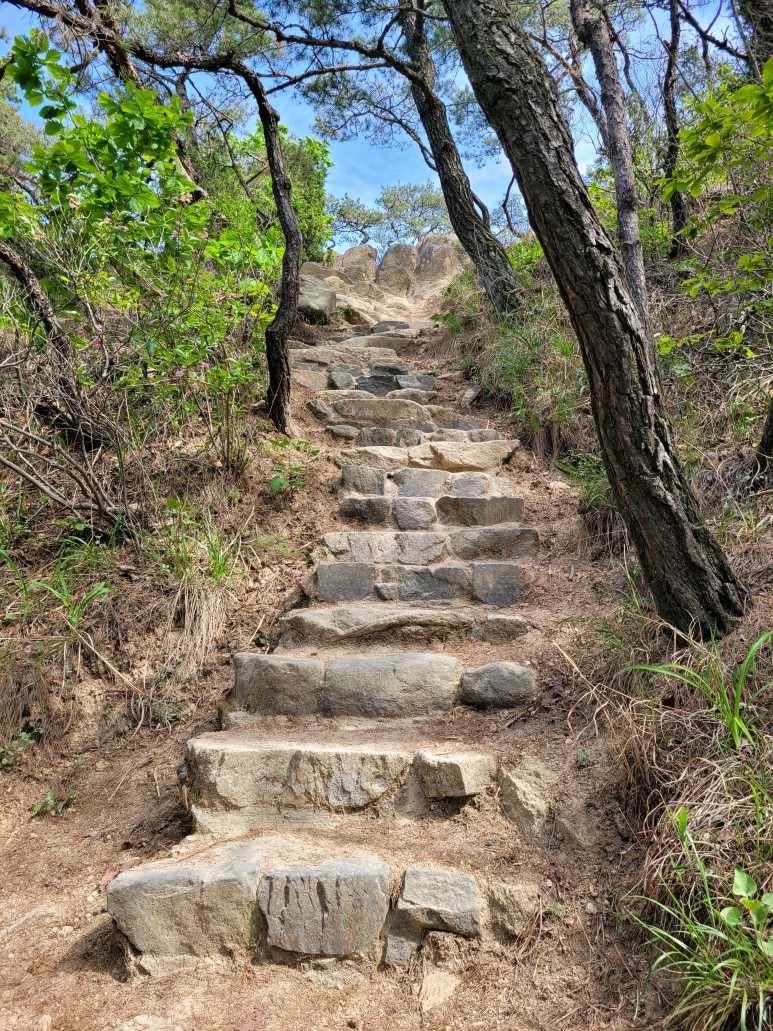 홍성 용봉산 등산코스 홍성 용봉산 11