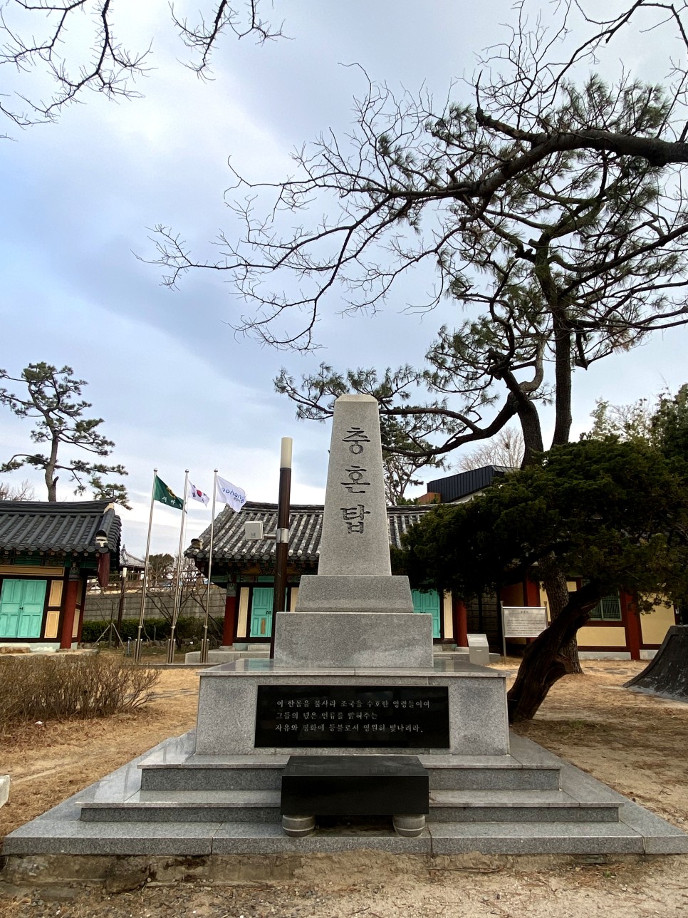 일본인 계획 없이 떠난 포항 여행 구룡포 13