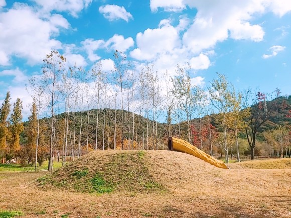 #부산 아이와가 볼만한 바다 운대수목원 22