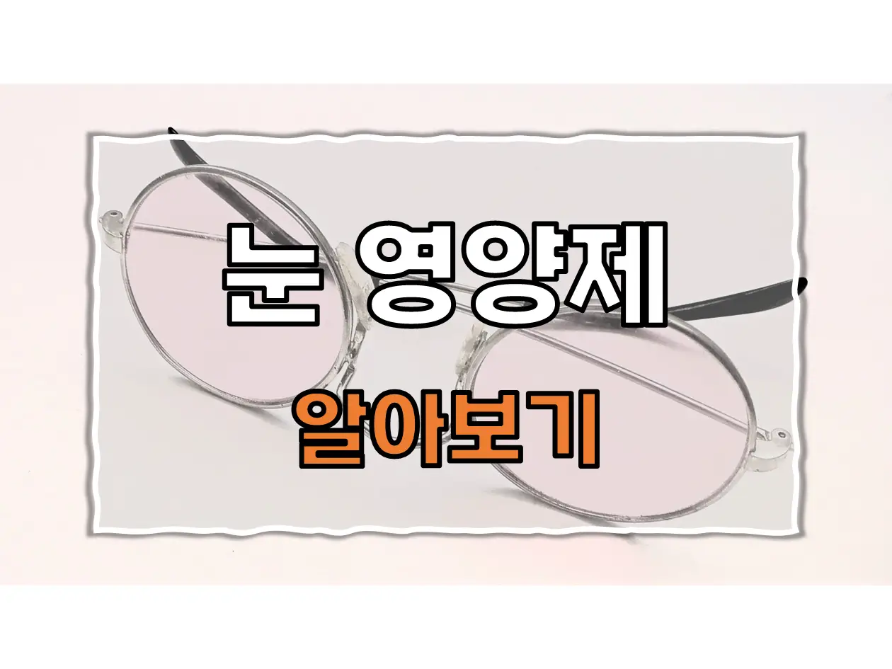  눈 건강을 위한 최적의 선택, 눈 영양제의 모든 것을 알아보자