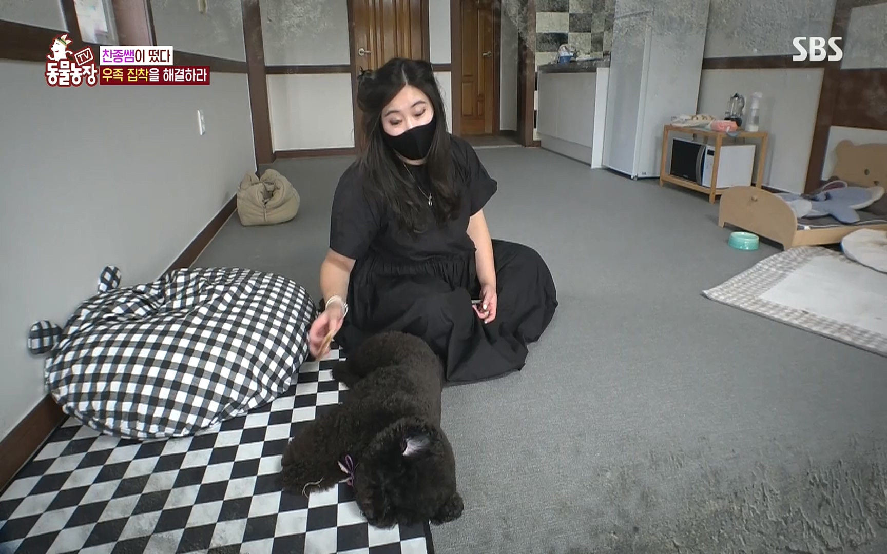 TV 동물농장.E1088.220925p.H264-F1RST.mp4_20220925_174354.447.jpg
