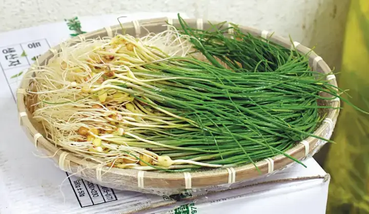 달래네 이미지