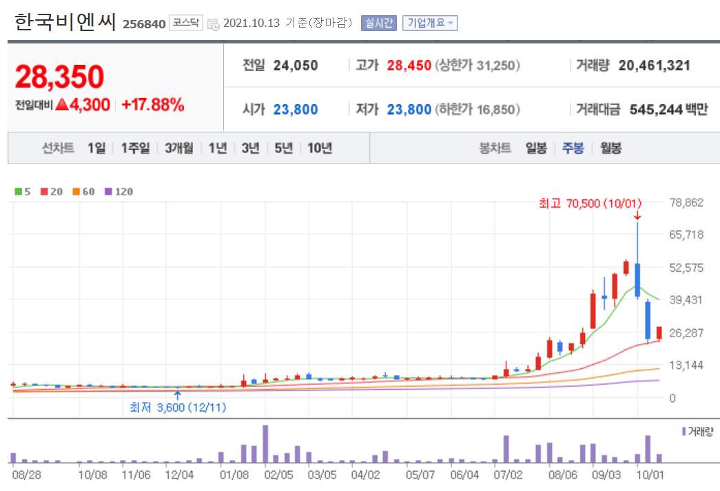 머크 관련주 대장주