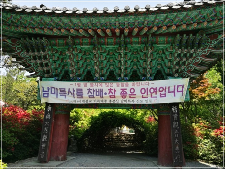  전남 강진 4월 철쭉 여행 가기 좋은 곳 남미륵사