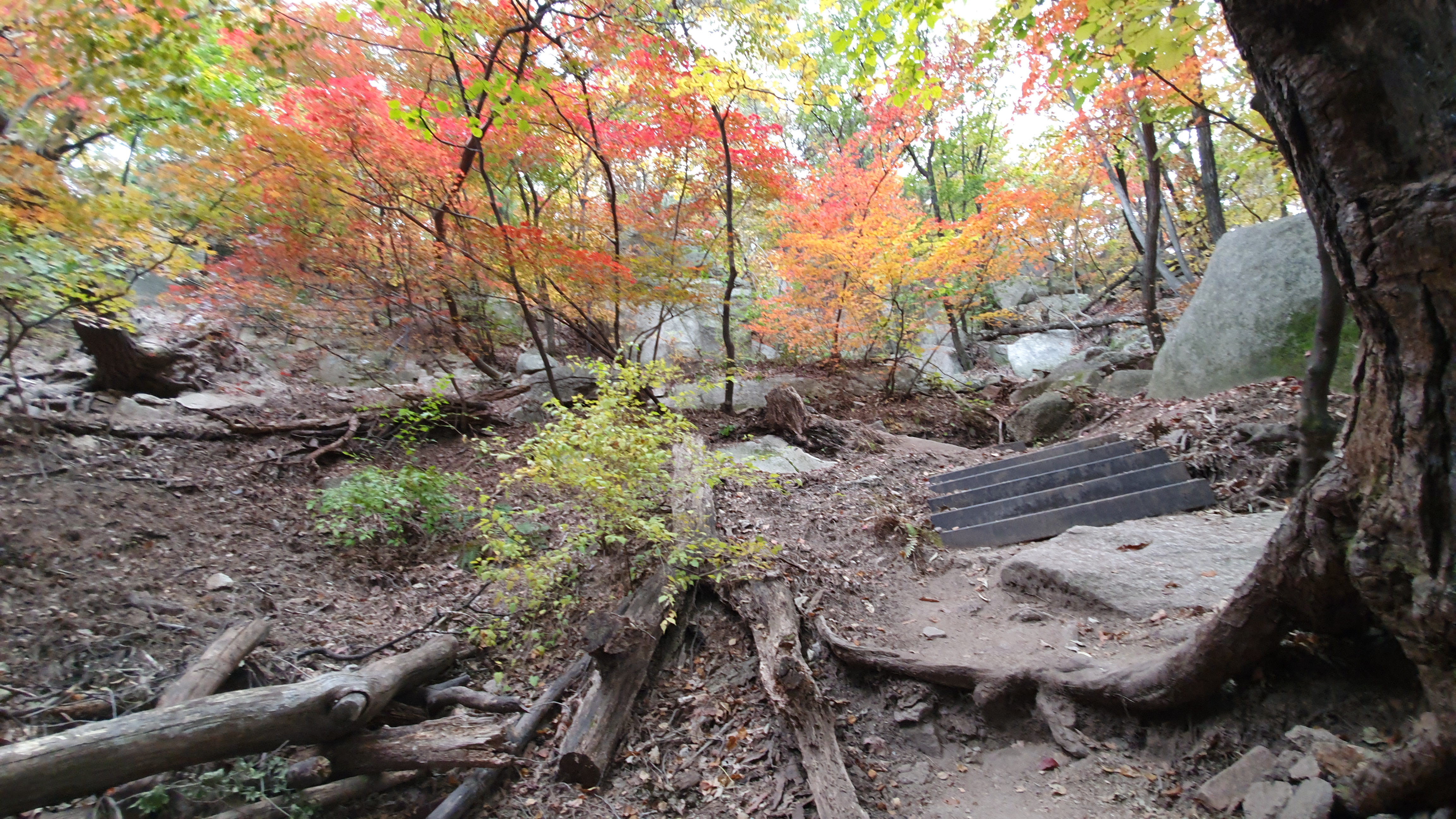 북한산 (2020-10-21) 42