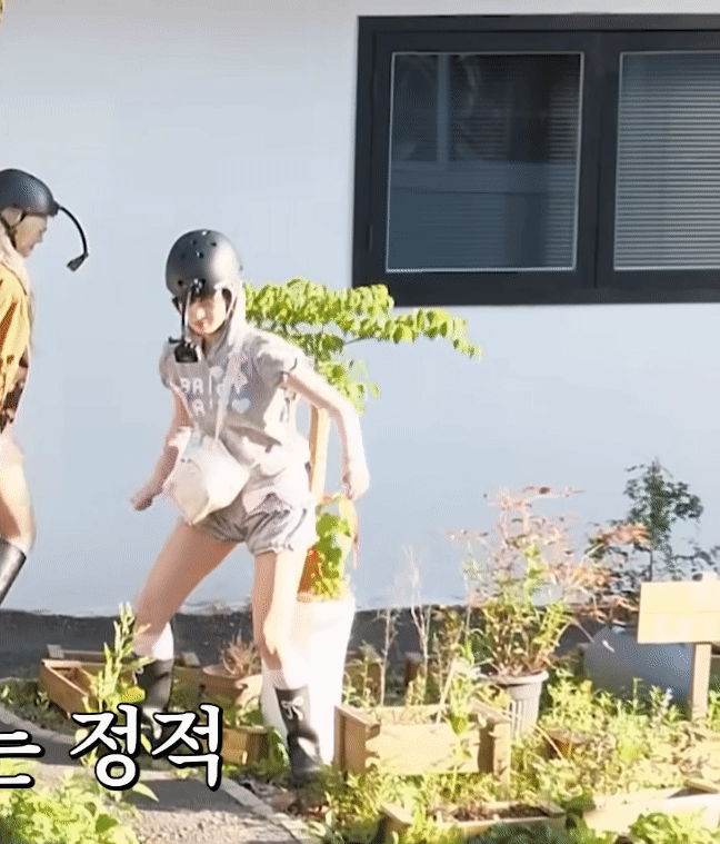 img.gif