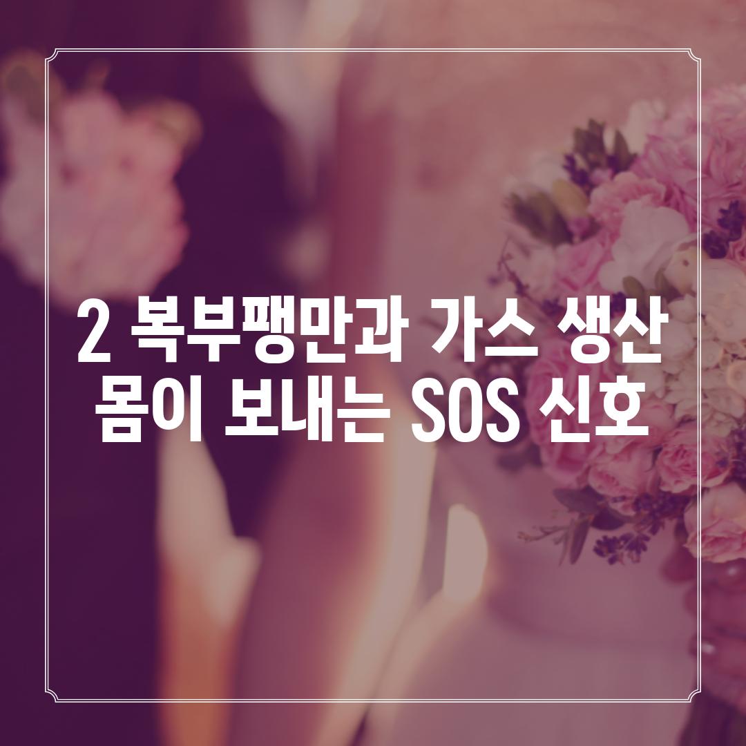 2. 복부팽만과 가스 생산: 몸이 보내는 SOS 신호