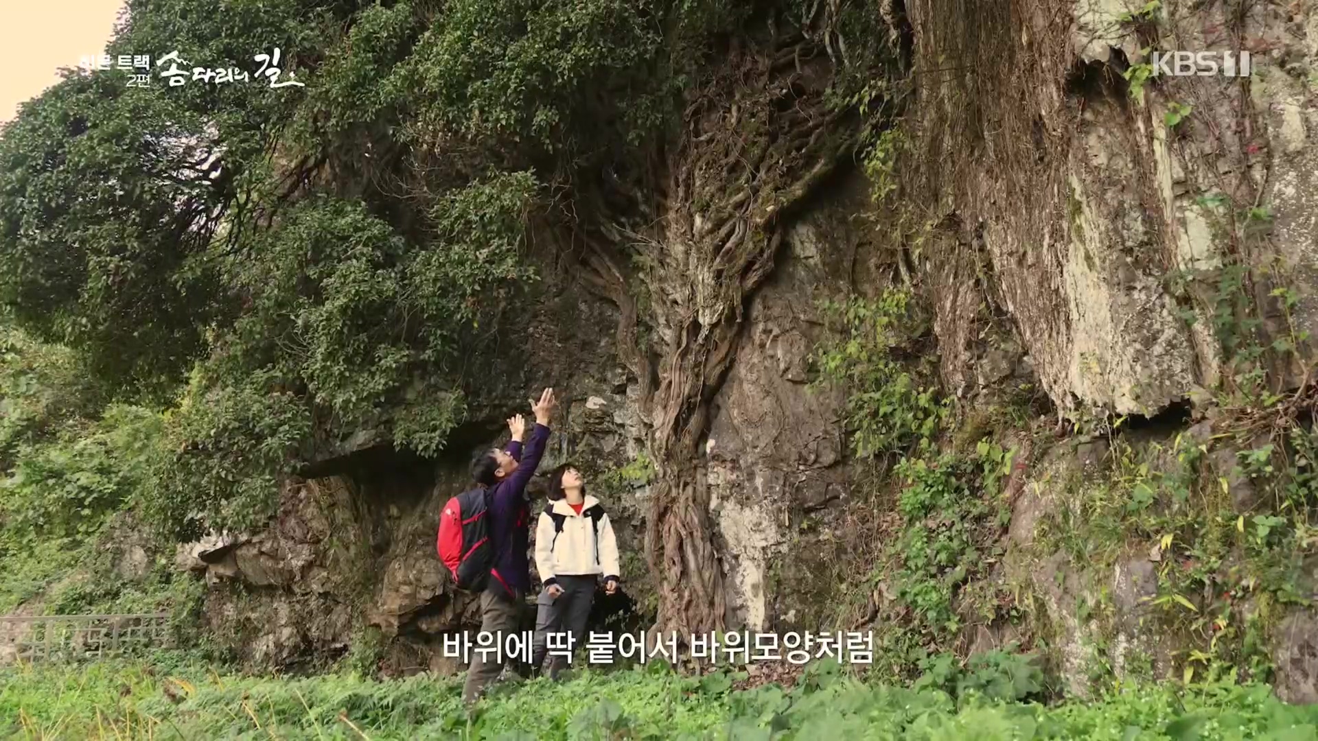 다큐 인사이트.E02.231215p.H264-F1RST.mp4_20231216_190002.848.jpg