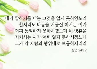잠언 24장 솔로몬 잠언 묵상_26