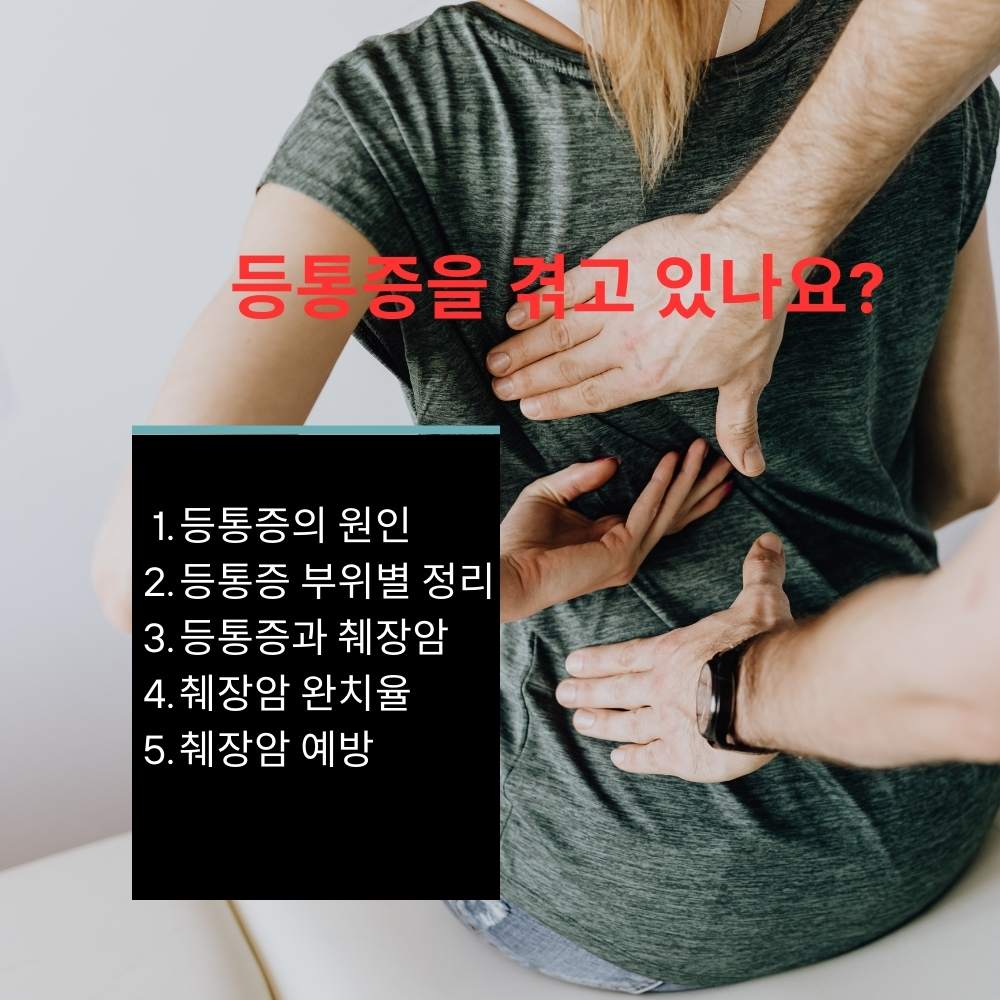 등통증의원인