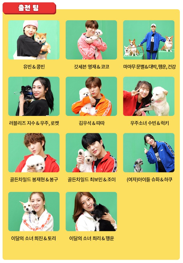 토요일 볼만한 프로 2020 추석특집 볼만한 12