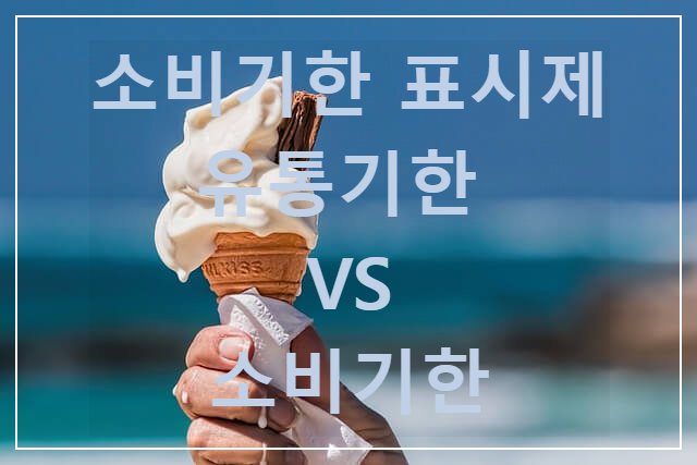  소비기한 표시제 유통기한 vs 소비기한 / 라면 - 우유- 식품 등 / 계도기간 확인