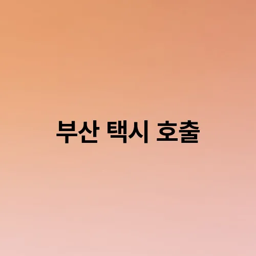 부산 택시 호출