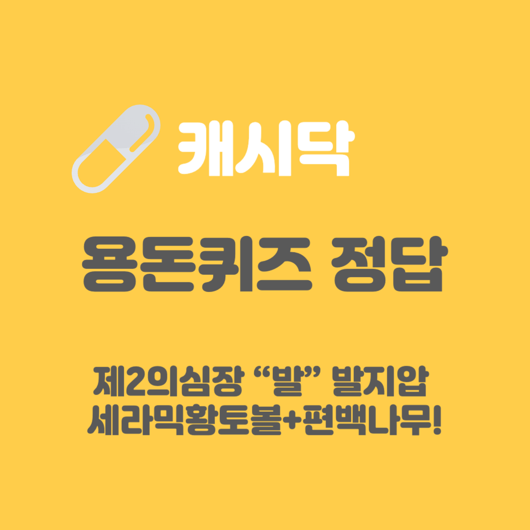 발지압-세라믹황토볼-편백나무-캐시닥