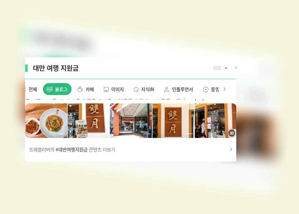 대만 여행 지원금_1_subsection