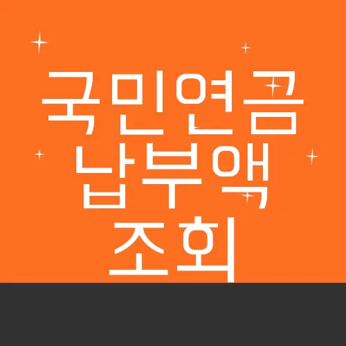 국민연금 납부액 조회