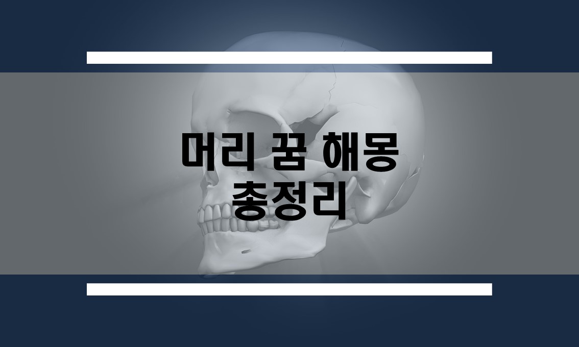  머리꿈 해몽 모음