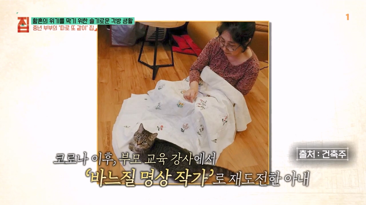 TV - 전 국민의 평생학교 EBS황혼의 위기를 막기 위한 슬기로운 각방 생활.mp4_20240118_200151.460.jpg