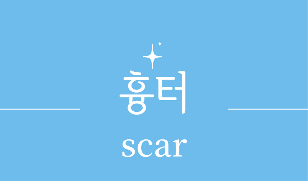 '흉터(scar)'