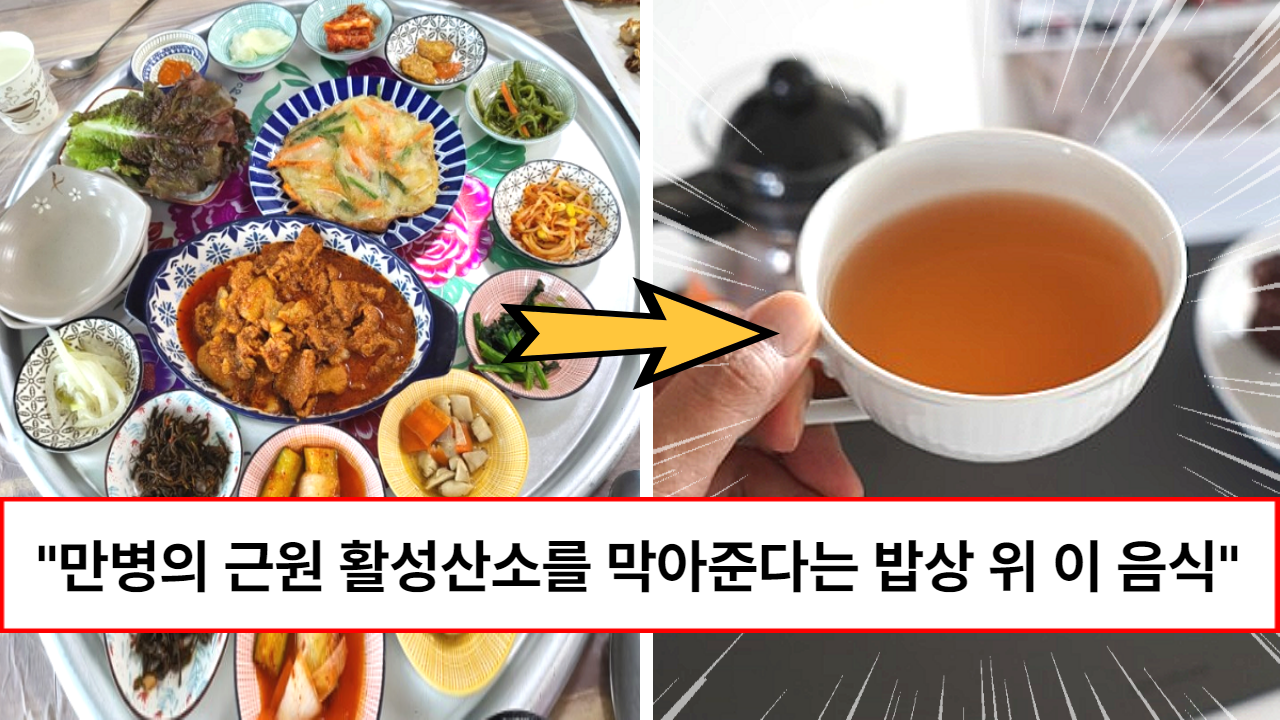 “이제 천연 항산화제 음식으로 드세요” 매일 먹으면 치매, 고혈압, 심혈관질환 등 모두 없어진다는 음식 3가지