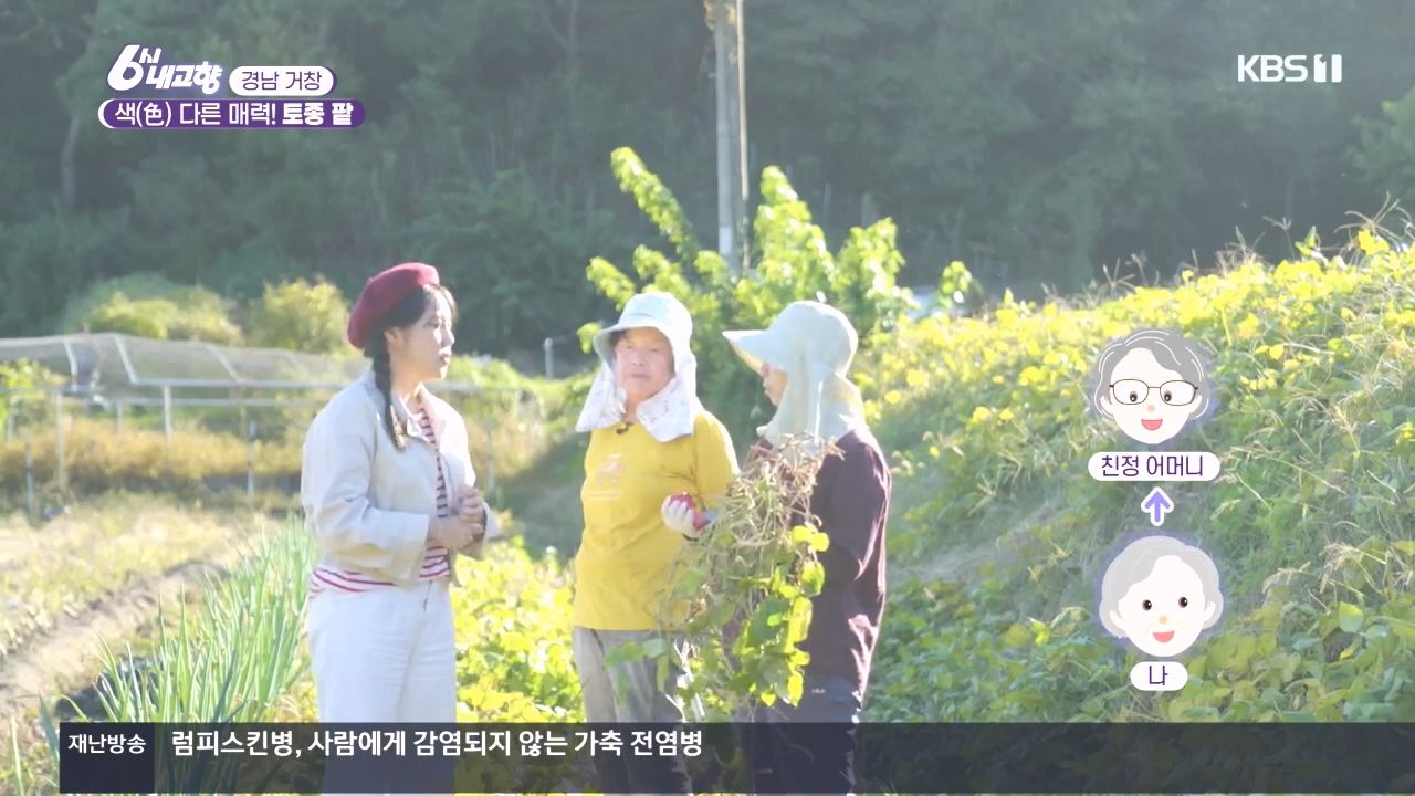 6시 내고향.E7897.231025p.H264-F1RST.mp4_20231025_195921.845.jpg