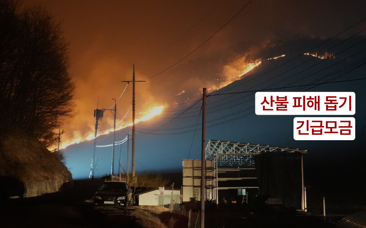적십자사 산불기부